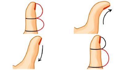 Test de Personalidad: dime cómo se ve tu pulgar y te diré la forma de ser que te domina