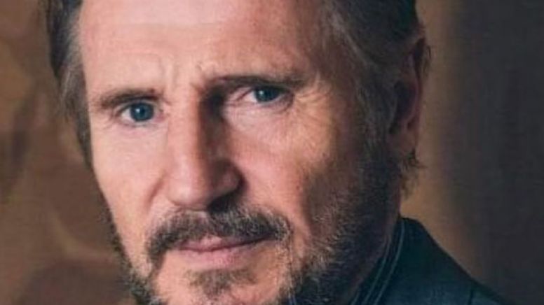 Liam Neeson se lleva todos los aplausos con esta película que arrasa en Netflix