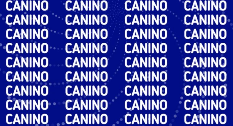 Solo alguien con vista de halcón puede encontrar la palabra 'Camino' en menos de 5 segundos