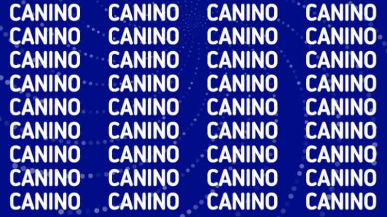 Solo alguien con vista de halcón puede encontrar la palabra 'Camino' en menos de 5 segundos