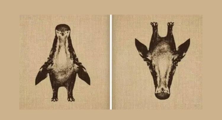 Test de Personalidad: dime qué imagen ves primero y te diré cómo eres en realidad