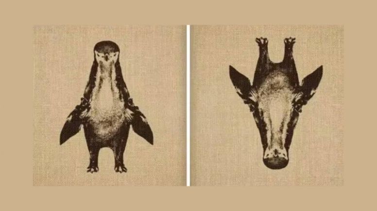 Test de Personalidad: dime qué imagen ves primero y te diré cómo eres en realidad