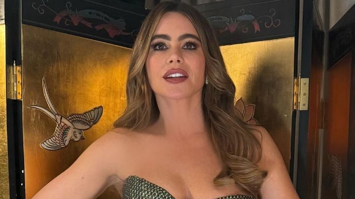Toma asiento antes de conocer cuánto ganó Sofía Vergara por cada episodio de ‘Modern Family’