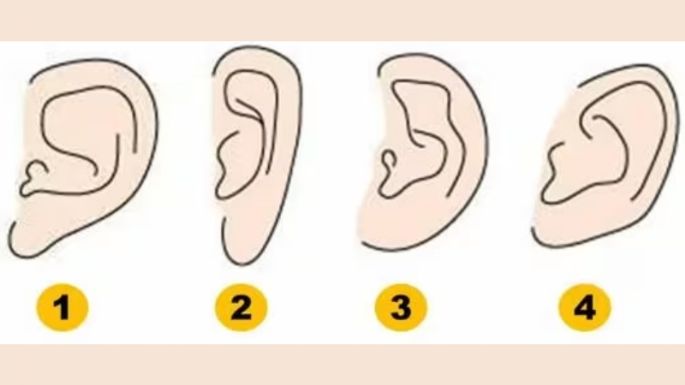 Test de Personalidad: dime cómo es la forma de tu oreja y te diré algo que no sabes de ti mismo