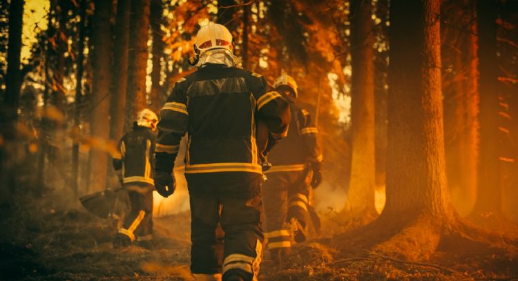 Cuánto cobran los bomberos en Bogotá, incluidas las suculentas primas