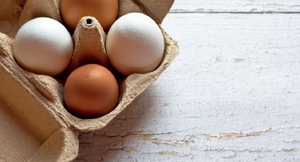 El motivo que elevará considerablemente el precio de huevo en febrero