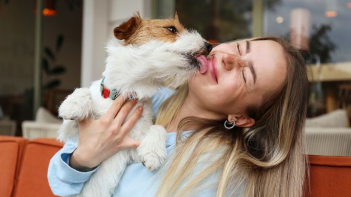 Descubre cómo afecta tu estado de ánimo si tienes una mascota en tu casa