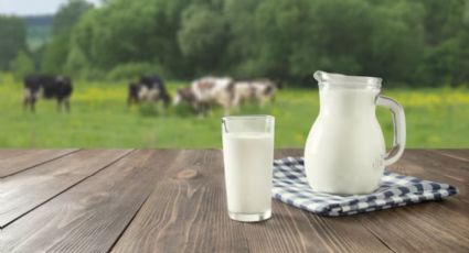 El motivo por el cual preven que aumentará mucho el precio de la leche