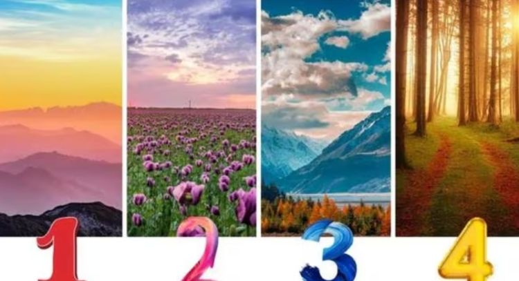 Test de Personalidad: dime qué paisaje te gusta más y te diré qué tipo de persona eres