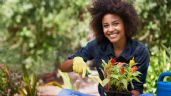 El trucazo casero para que tu jardín estalle de flores