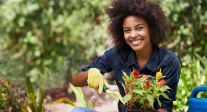 El trucazo casero para que tu jardín estalle de flores