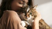 Foto ilustrativa de la nota titulada 5 Curiosidades fascinantes sobre los gatos que todo dueño debería conocer