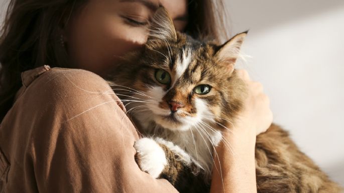 Qué quiere decir que a una persona le encanten los gatos, según la psicología
