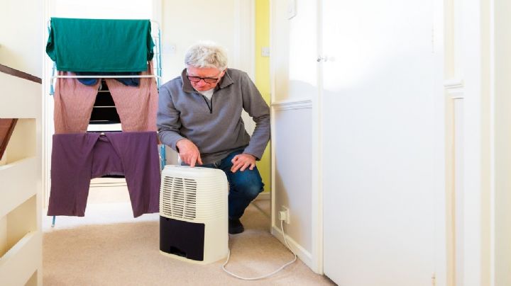 Adiós a la humedad: este es el deshumidificador que debes usar en tu casa