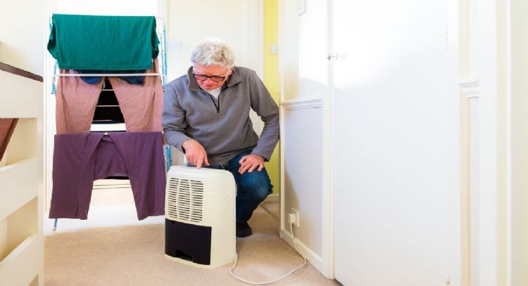 Adiós a la humedad: este es el deshumidificador que debes usar en tu casa
