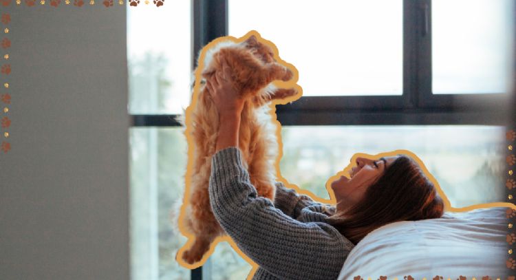 10 secretos que tu gato sabe sobre ti: descubre su asombrosa intuición