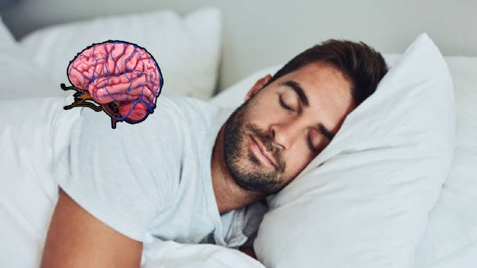 La fruta que beneficia al cerebro y debes consumir todas las noches antes de dormir