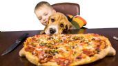 Foto ilustrativa de la nota titulada ¿Los perros pueden comer pizza? Descubre los riesgos y alternativas seguras para tu mascota