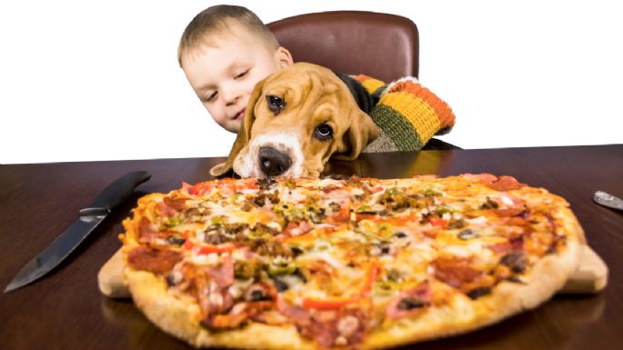 ¿Los perros pueden comer pizza? Descubre los riesgos y alternativas seguras para tu mascota