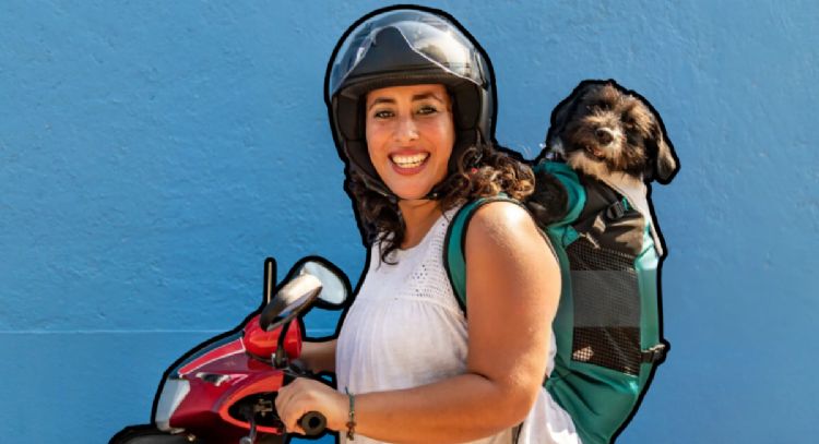 Toma aire antes de conocer de cuánto es la multa por llevar un perro en moto en Colombia