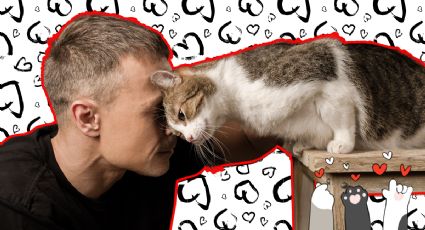 ¿Cómo saber si tu gato te ama? Descubre estas 10 señales inconfundibles