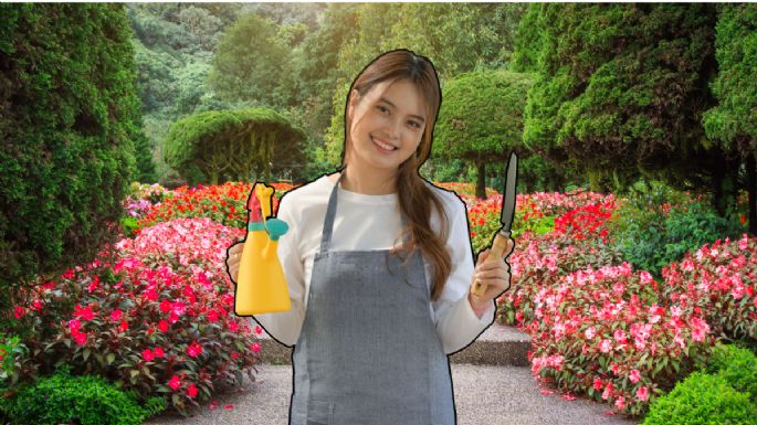 3 abonos caseros para que tus plantas estallen de flores en noviembre