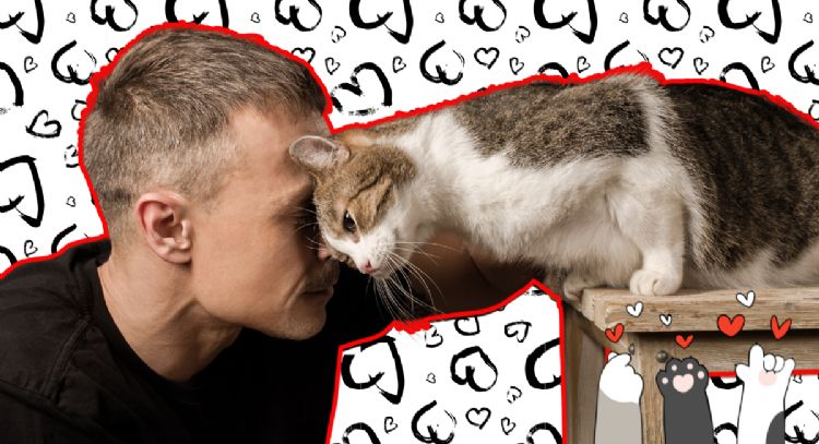 ¿Cómo saber si tu gato te ama? Descubre estas 10 señales inconfundibles