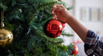 Dile adiós al árbol de Navidad, esta es la nueva tendencia que se utilizará en diciembre 2024