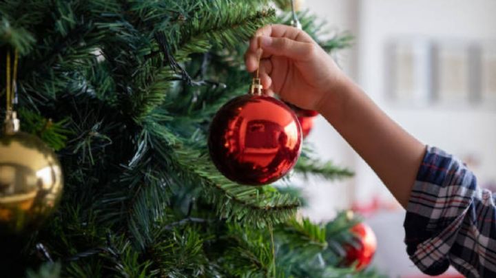 Dile adiós al árbol de Navidad, esta es la nueva tendencia que se utilizará en diciembre 2024
