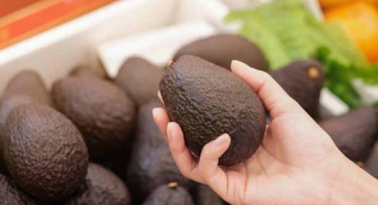 Vendedor de frutas revela el truco para saber si un aguacate está maduro antes de abrirlo