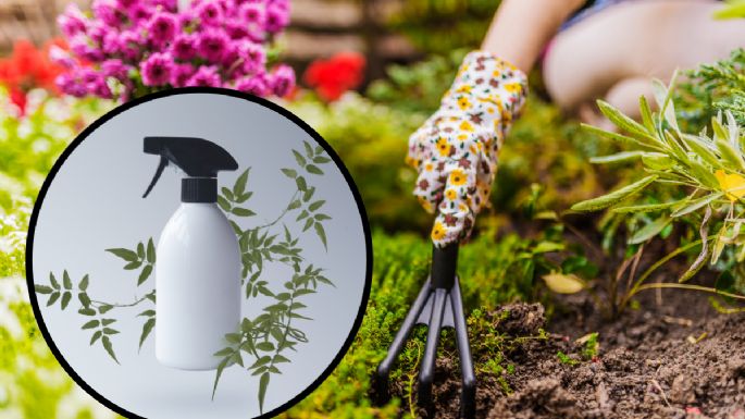 Cómo preparar un remedio casero para eliminar las hierbas del jardín con sólo 3 ingredientes