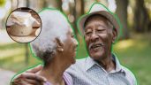 Foto ilustrativa de la nota titulada El 'pan de la longevidad' que consumen en las Zonas Azules: ¿Por qué es clave para vivir más años?