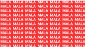 Foto ilustrativa de la nota titulada Sólo una vista aguda puede encontrar la palabra 'Mula' en menos de 10 segundos