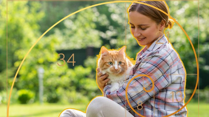 Las cinco razas de gatos más lindos, según la ciencia