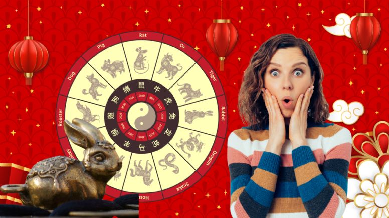 Conejo de Metal: 4 animales que cumplirán sus metas, según la astrología oriental