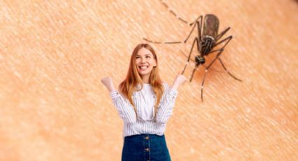 Llegó el fin de los mosquitos: descubre la planta que los elimina en menos de 60 segundos