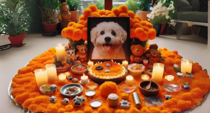 5 pasos para crear un altar de día de los muertos para mascotas y celebrar su vida