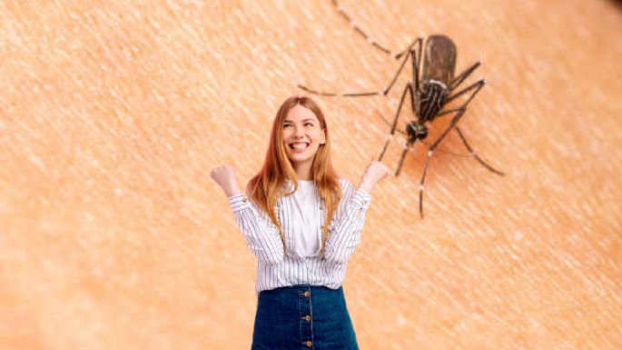 Llegó el fin de los mosquitos: descubre la planta que los elimina en menos de 60 segundos