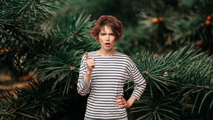 Dile adiós al árbol de Navidad verde: conoce los nuevos colores que serán tendencia esta temporada
