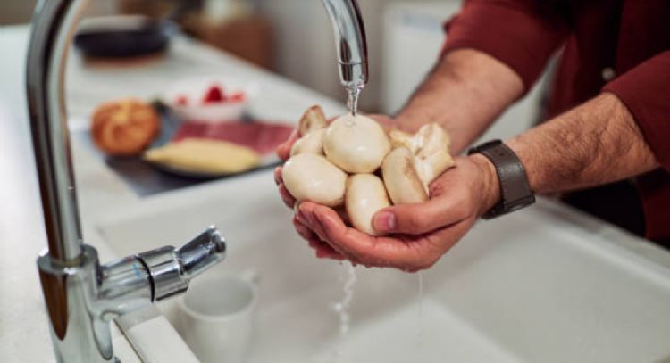 El método correcto para limpiar los hongos antes de comerlos y evitar enfermedades