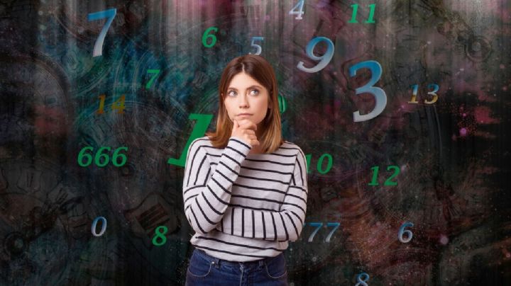 Qué animal te representa según tu fecha de nacimiento, de acuerdo con lo que dicta la numerología