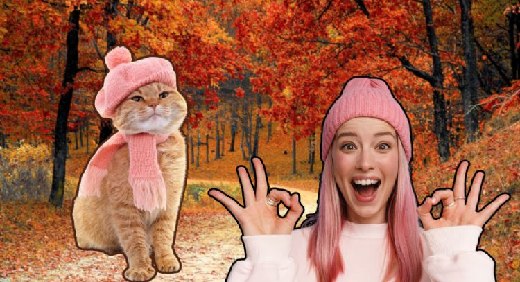 Este otoño, evita problemas de salud en tu gato: Los cuidados esenciales para la temporada