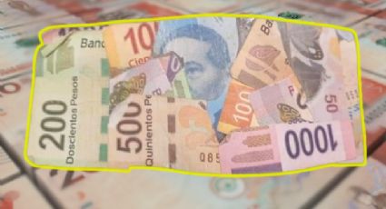 Conoce lo que puedes hacer si eres dueño de billetes dañados de 10, 20, 50 y 100 pesos en Colombia