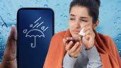 Foto ilustrativa de la nota titulada: Los 5 remedios caseros súper efectivos para prevenir la gripa en días de lluvia