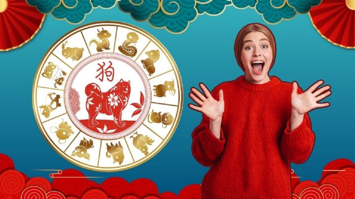 Perro de madera: 4 animales que cumplirán sus objetivos, según la astrología oriental
