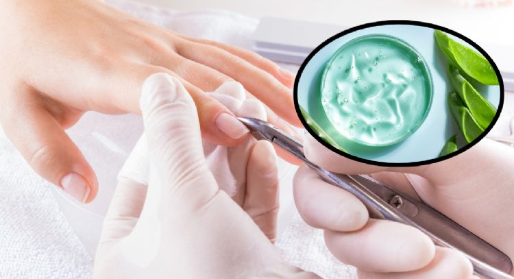 Los secretos del aloe vera para unas uñas perfectas que los salones de manicura ocultan
