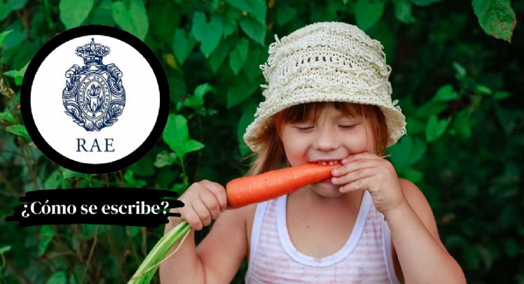 Toma asiento antes de saber cómo se escribe "roer" en primera persona, según la RAE