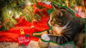 Foto ilustrativa de la nota titulada Dile adiós a los accidentes: Las mejores ideas para decorar en Navidad con mascotas