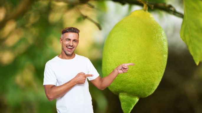 Cada cuánto tiempo debes regar tu limonero para que estalle de frutas