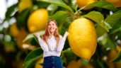 Foto ilustrativa de la nota titulada Los desechos de cocina que debes usar en tu limonero para que estalle de frutas en noviembre